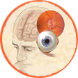 Neuro-ophthalmology